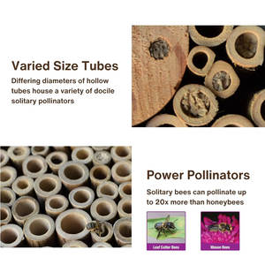 PWH1นกเป็ดน้ำบ้านไม้ที่ทนทานสำหรับผึ้งผึ้งผึ้งเดี่ยวแมลงในสวนที่เป็นประโยชน์สำหรับนกหลังบ้าน - Product Image 4