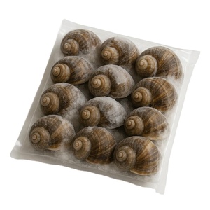 Caracoles Gourmet para Cocinar en Restaurantes, Hogares, Granjas y Exportación con Carne Limpia, Segura y Almacenamiento Duradero, Gran Descuento - Product Image 1