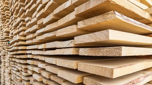 Top Grade Precision in Every Plank Premium Quality Spruce Lumber Bulk Purchase for cheapest Price - Product Image 4
