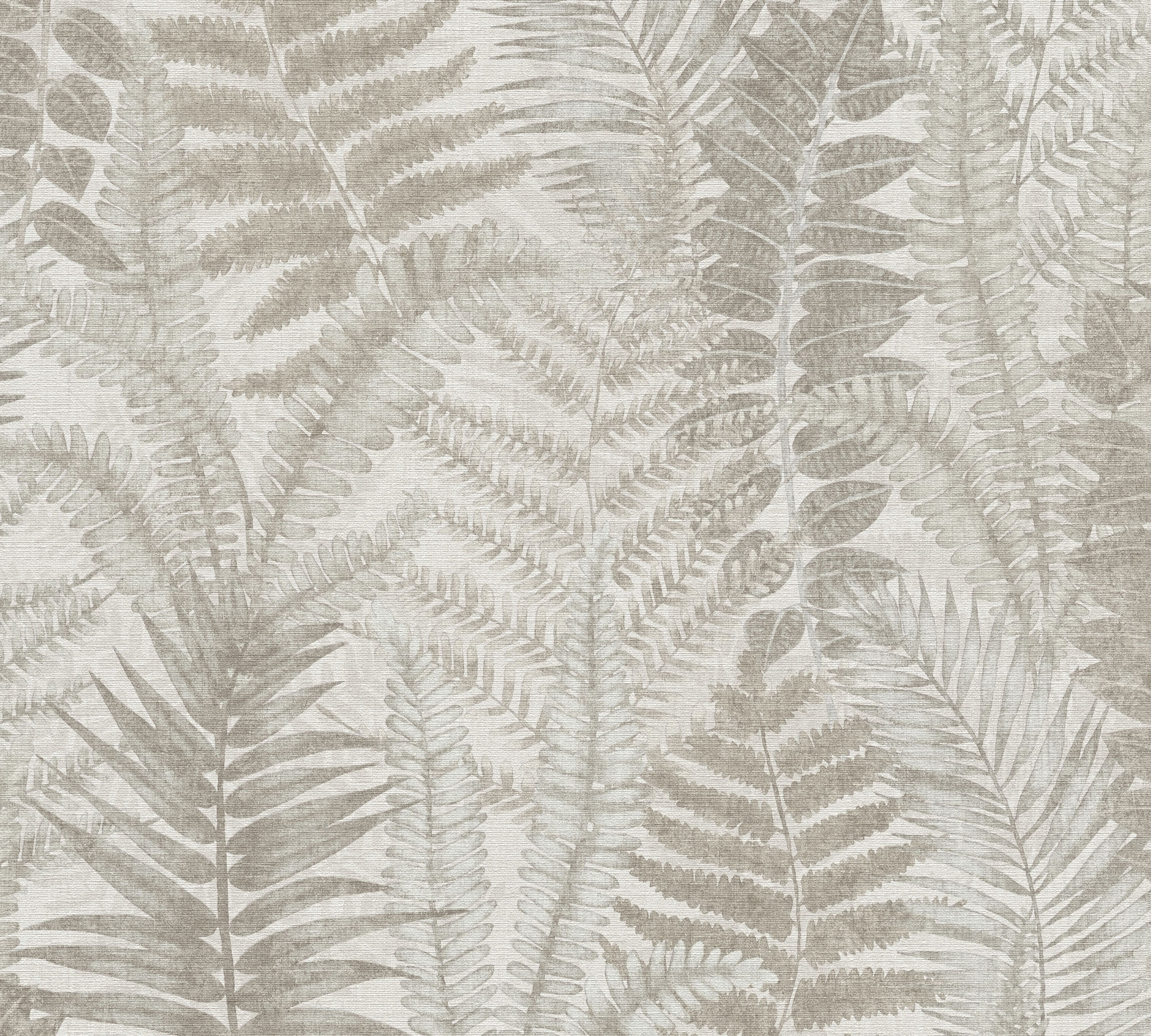 สีเทาสีเบจ taupe