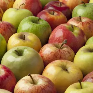 新鮮な果物-新鮮なリンゴ、梨、ブドウ、イチゴ、