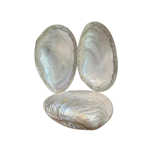 Pêche Argent Cuivre Garniture Symbole de l'Immortalité et de la Richesse Plat Coquillage Plat Nacre Géant Shell Plat Décor À La Maison - Product Image 6