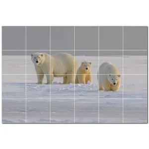 Murale de carreaux de céramique ours PT500112. 25.5 \ "L X 17 \" H (24) 4.25 Carreaux Porcelaine Intérieur Firebrick pour Chambre Brillant/Mat 5mm - Product Image 1