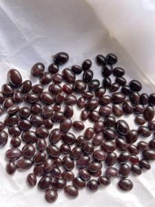 ทับทิมธรรมชาติหกเส้นพลอยดาวอัญมณีดาวทับทิมเครื่องประดับทำหินทับทิมดาวหลวมและเรียบเนียนอัญมณี - Product Image 5