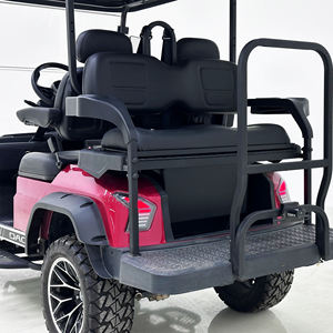 Carrito de Golf de Combustible Edición de Alta Potencia |   4-6 Plazas, Velocidad de 40 km/h y Gran Autonomía - Product Image 3