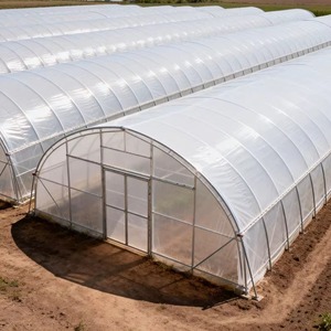 Serre professionnelle à simple travée pour la culture de légumes avec structure en acier galvanisé à chaud et film PO protégé contre les UV - Product Image 1