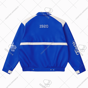 Zeta Phi Beta Sorority cuir Racing qualité supérieure ZPB boutonné cuir Racer veste vêtements grecs personnalisés - Product Image 2