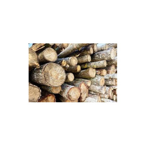 Bois de chauffage de marque personnalisée, bois tendre et dur, chêne/frêne, séché au four, en provenance d'Allemagne - Product Image 4