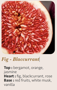 เทียนหอมอโรมาเธอราพี กลิ่นฟิกและแบล็คเคอร์แรนท์ ขนาด 25 ซล. งานแฮนด์เมดสุดหรู ทันสมัย พร้อมโลโก้สั่งทำพิเศษ ขวดแก้วทรงกระบอก ใช้ขี้ผึ้งผสม ให้ความหอมยาวนาน 55 ชั่วโมง - Product Image 5