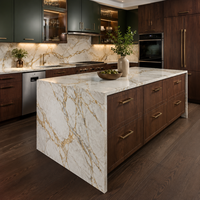 YIERHOME Soluciones de Gabinetes de Cocina de Lujo para Multifamiliares, Gabinetes Estilo Shaker para Desarrolladores de Apartamentos, Suministro Residencial al por Mayor