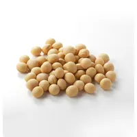 Raw Food Material Soybeans