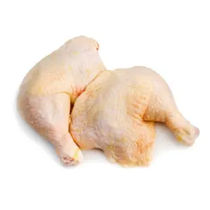 Quart de cuisse de poulet Hallal frais congelé de fournisseur supérieur/pilon de poulet/pieds de poulet à vendre