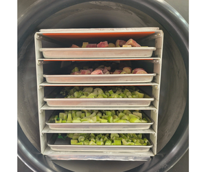 EXPOSICIÓN DE APIO CONGELADO CHOP PARA ALMACENAMIENTO DIRECTO SEGURO AL SOL HECHO EN VIETNAM PRECIO SUPER CALIENTE - Product Image 3