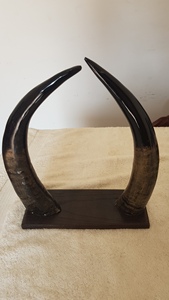 Cadeaux d'affaires écologiques faits à la main en corne de bœuf viking sculptée, corne de buffle médiévale, fabriqués en Inde, à vendre - Product Image 4