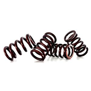 Ressort de soupape en acier inoxydable résistant à la chaleur avec roseau et bobine pour la rénovation/mise à niveau du moteur de moto KAO Cygnus - Product Image 2