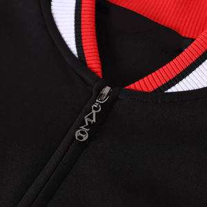 Delta Sigma Theta DST Sorority Sweat-shirt personnalisé à fermeture éclair Jogging d'hiver avec lettres grecques - Product Image 5