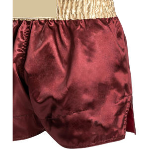 <b>Mens</b> Custom 2025 Mma <b>Shorts</b> For <b>Men</b> - Product Image 3