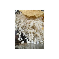 TILDA PARFUM JASMINE PARFUM RIZ SANS GLUTEN 10Kg 5Kg EXPORTATION/PARFUM NATUREL AA + RIZ PARFUM MARQUE PREMIUM