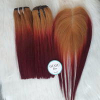 Extensions de cheveux vierges lisses en gros, double épaisseur, couleur naturelle, cheveux humains vietnamiens d'un seul donneur, trame Genius double résistance