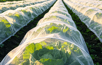 Filets agricoles en plastique HDPE durables 50 mailles pour la protection des légumes contre les insectes, les mouches, les abeilles et les pucerons – Découpables sur mesure