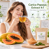 Poudre d'extrait de papaye LongBio Carica 4:1, extrait naturel de plante de papaye pour compléments alimentaires et boissons, OEM ODM