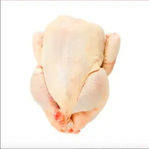 Mua đông lạnh Halal toàn bộ gà và các bộ phận có sẵn từ Brazil