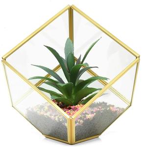 Maison Hôtel Ou Café Accessoires De Décoration Pour Terrarium En Verre Décoration Intérieure Terrarium De Table En Métal Et En Verre - Product Image 4