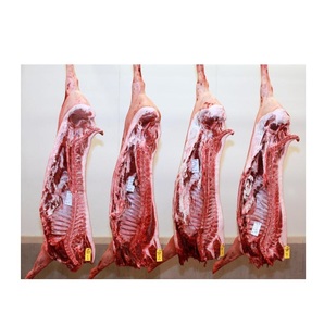 Proveedor mayorista de carcasas de cerdo congeladas (media o completa) |   Carne de cerdo congelada en grandes cantidades lista para exportación - Product Image 3