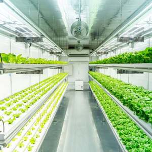 Ferme hydroponique en conteneur avec système de contrôle climatique, système d'agriculture hydroponique intelligent, système d'agriculture intelligent en conteneur - Product Image 4