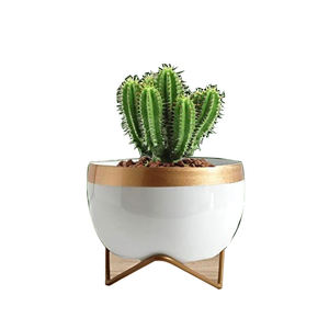 Ensemble de jardinière en métal galvanisé de forme personnalisée haut de gamme décoratif pour le plancher de la maison au milieu du siècle au prix le plus bas - Product Image 6