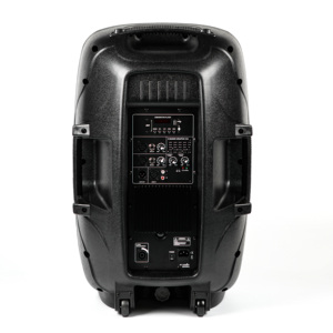 DASN PML15AYH Cassa Attiva Professionale da <span class=keywords><strong>15</strong></span> Pollici 120W in Plastica Diffusore Pro Audio Full-Range - Product Image 3