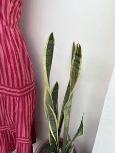 Élégant ensemble Kurti en coton lourd pour femme Nouveau designer de vêtements de fête avec une impression exquise sur les quatre côtés pour les occasions spéciales - Product Image 6