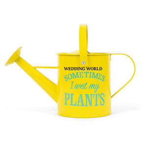 Arrosoir en métal classique élégant fait à la main arrosoir design vente à chaud fantaisie nouveau bidon d'eau - Product Image 5