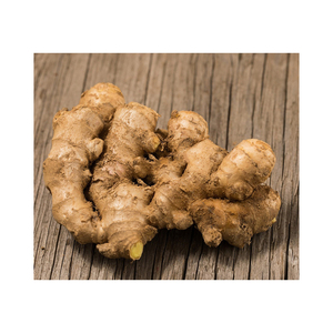 Jengibre fresco orgánico de alta calidad, exportador al por mayor de primera calidad, entrega rápida a precios competitivos, jengibre fresco a granel - Product Image 4