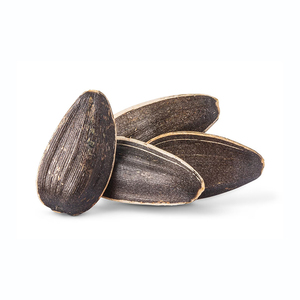 Low price Sunflower Seeds bulk supply premium quality wholesale fresh stock - Product Image 6