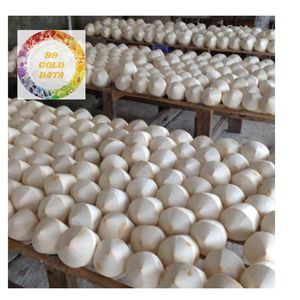 มะพร้าวสดจากเวียดนามทรงเพชรตัดรูปมะพร้าวอ่อนธรรมชาติคุณภาพสูง - Product Image 5