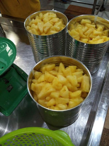 สับปะรดกระป๋องแบบพรีเมี่ยมชิ้นในน้ำเชื่อมเบาสดและพร้อมสำหรับการอบเครื่องดื่ม - Product Image 4