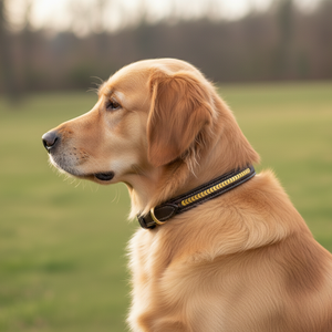 Collar de perro de cuero acolchado marrón oscuro de primera calidad con incrustaciones de Chevron dorado Impermeable Cómodo Tamaño personalizado Todas las estaciones - Product Image 3