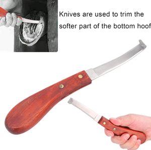 Cuchillo para Pezuñas de Acero Inoxidable de Una Sola Hoja, Estándar Internacional de Alta Calidad, con Mango de Madera, Seguro y Ajustable - Product Image 3