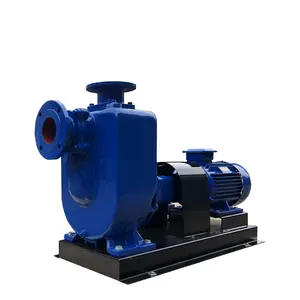 90kw Sludge Transfer Electrical Horizontal Self Priming Sewage Pump Sewage Water Lift Pump