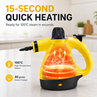 1050W 3.5 Bar 350ml 30g/min 105C Steam 15s Heat-Up 15min Runtime voiture maison nettoyeur vapeur a main nettoyeur a vapeur