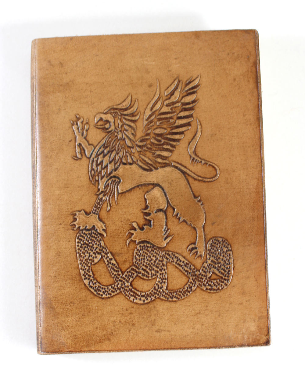 สีน้ำตาล