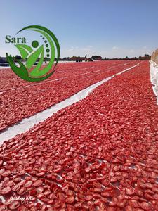 Tomates secos al sol de primera calidad, vegetales orgánicos de Egipto - Product Image 6