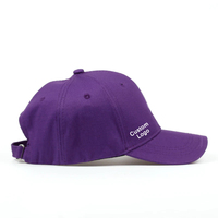 Casquette de baseball personnalisée avec logo brodé 3D, 5 panneaux, léopard, Melin, imperméable, chapeau de golf, chapeau de camionneur