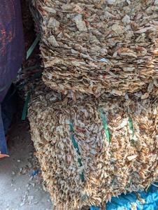 PROVEEDOR DE VIETNAM/CONCHA DE CAMARONES DE ALTA CALIDAD para ALIMENTACIÓN ANIMAL | MATERIAL NATURAL - Product Image 4