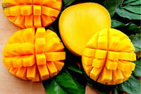 Mangue jaune sucrée surgelée 100% naturelle du Vietnam VDELTA à prix avantageux, durée de conservation 1 an (+84) 904183651