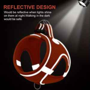 Colliers et ceintures pour chiens et chats personnalisés de haute qualité OEM - Product Image 4