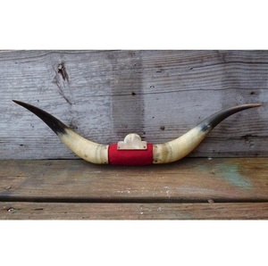 Plaque murale décorative en corne de buffle de style animal rustique indien écologique - Product Image 6