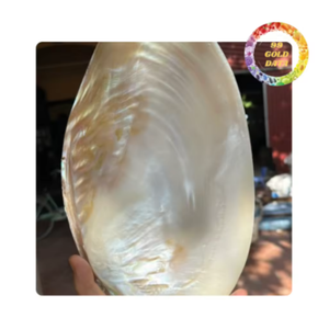 Exquisito plato de concha de nácar hecho a mano, plato de caviar, suministro al por mayor - Product Image 6