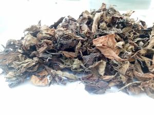 Hojas de gelatina de hierba negra seca de alta calidad para alimentos y bebidas, hojas de gelatina de hierba seca ecológicas para una vida saludable - Product Image 3